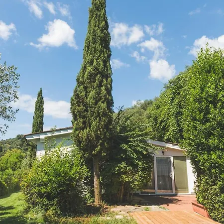 Exclusive Beautiful Pool House Surrounded By Greenery, Modern, Luxury Finishes
