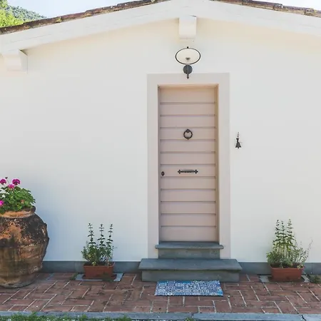 Exclusive Beautiful Pool House Surrounded By Greenery, Modern, Luxury Finishes
