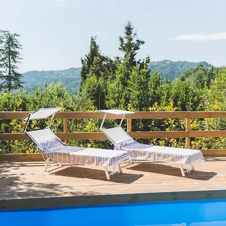 Exclusive Beautiful Pool House Surrounded By Greenery, Modern, Luxury Finishes