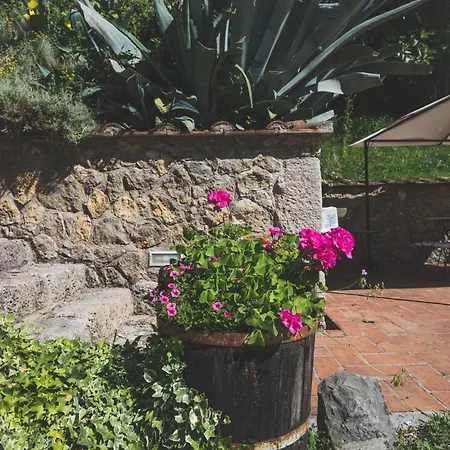 Exclusive Beautiful Pool House Surrounded By Greenery, Modern, Luxury Finishes Ferienhaus *
