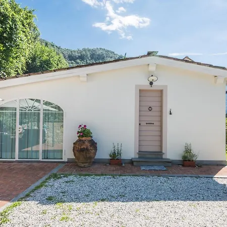 Exclusive Beautiful Pool House Surrounded By Greenery, Modern, Luxury Finishes Camaiore