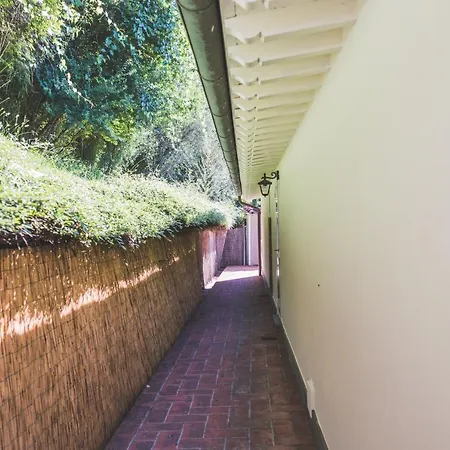 Exclusive Beautiful Pool House Surrounded By Greenery, Modern, Luxury Finishes