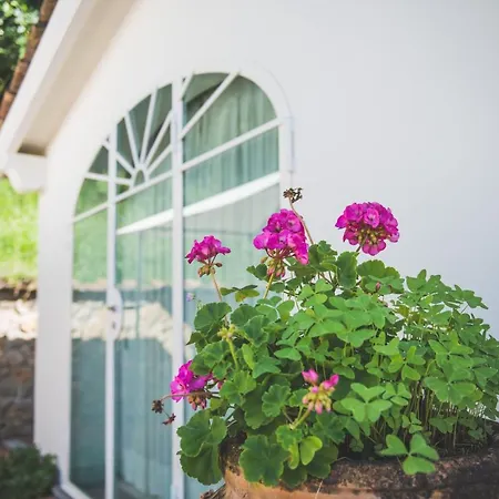Exclusive Beautiful Pool House Surrounded By Greenery, Modern, Luxury Finishes Ferienhaus *