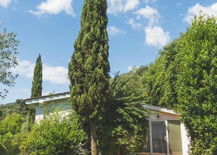 Exclusive Beautiful Pool House Surrounded By Greenery, Modern, Luxury Finishes