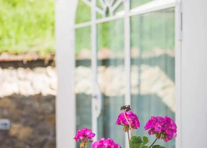 Exclusive Beautiful Pool House Surrounded By Greenery, Modern, Luxury Finishes