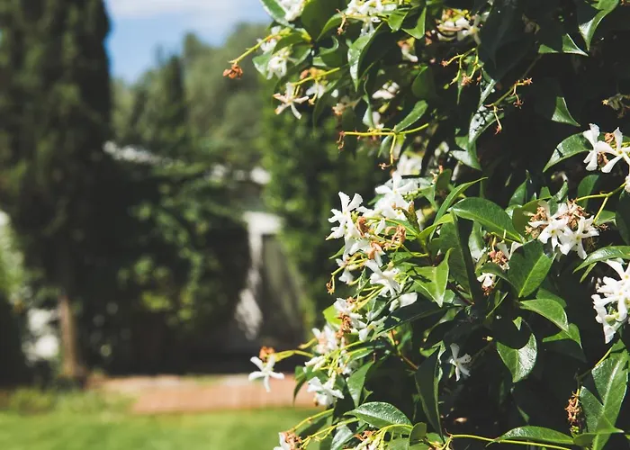 Exclusive Beautiful Pool House Surrounded By Greenery, Modern, Luxury Finishes * 카마이오레