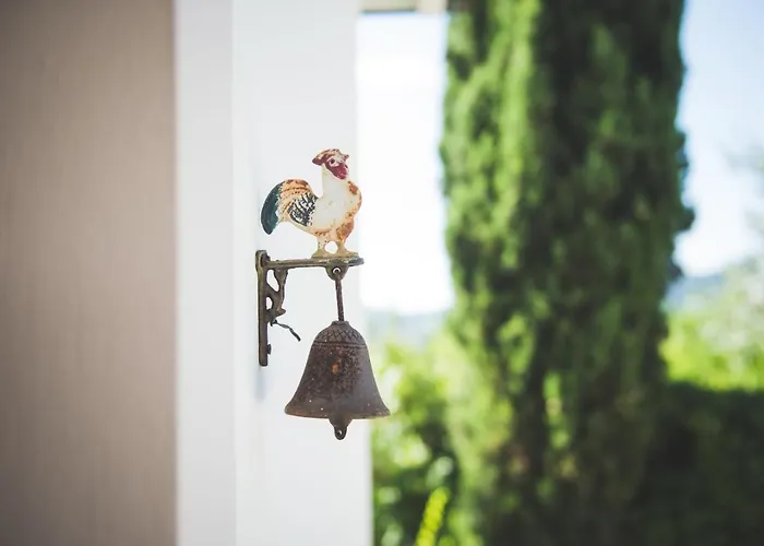 Exclusive Beautiful Pool House Surrounded By Greenery, Modern, Luxury Finishes 펜션 *