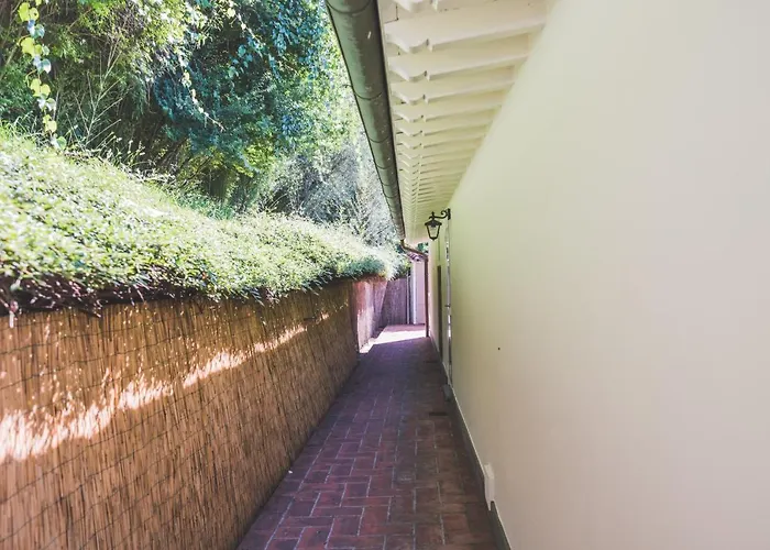 Exclusive Beautiful Pool House Surrounded By Greenery, Modern, Luxury Finishes